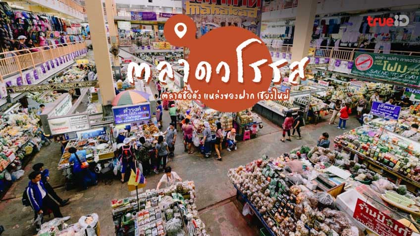 รีวิว กาดหลวง (Warorot Market) ตลาดเก่าเชียงใหม่ที่ยังมีชีวิตจริง